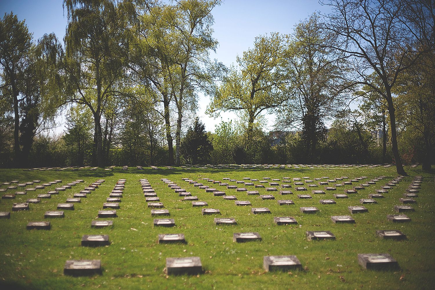 Reihen niedriger Grabsteine italienischer Kriegstoter auf dem Friedhof Westhausen